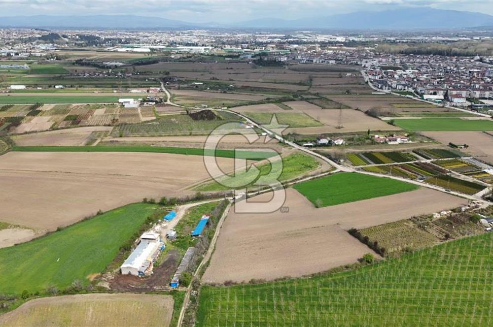 SAKARYA ARİFİYE ARİFBEY'DE 5520M2 SATILIK TARLA