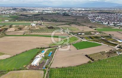 SAKARYA ARİFİYE ARİFBEY'DE 5520M2 SATILIK TARLA