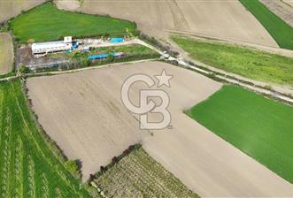 SAKARYA ARİFİYE ARİFBEY'DE 5520M2 SATILIK TARLA - 6 - 343871