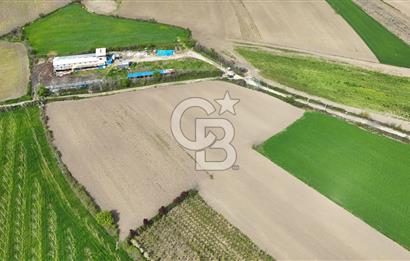 SAKARYA ARİFİYE ARİFBEY'DE 5520M2 SATILIK TARLA