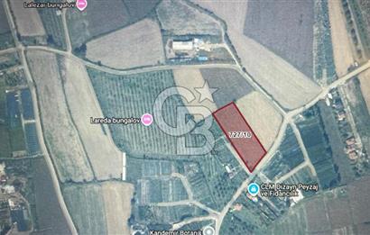 SAKARYA ARİFİYE ARİFBEY'DE 5520M2 SATILIK TARLA