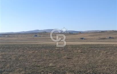 POLATLI HACITUĞRUL MAHALLESİNDE CB ALWAYS AYRICALIĞIYLA TEK TAPU ARSA