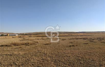 Polatlı Hacıtuğrul'da Altyapılı Satılık İmarlı Arsa