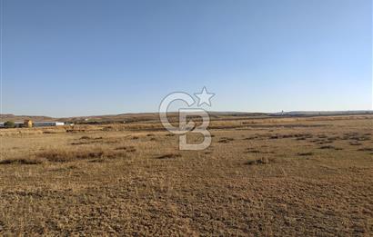 Polatlı Hacıtuğrul'da Altyapılı Satılık İmarlı Arsa