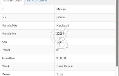 Gördeste Sürdürülebilir Tarım Yatırımı 9.000 m² Ceviz Bahçesi