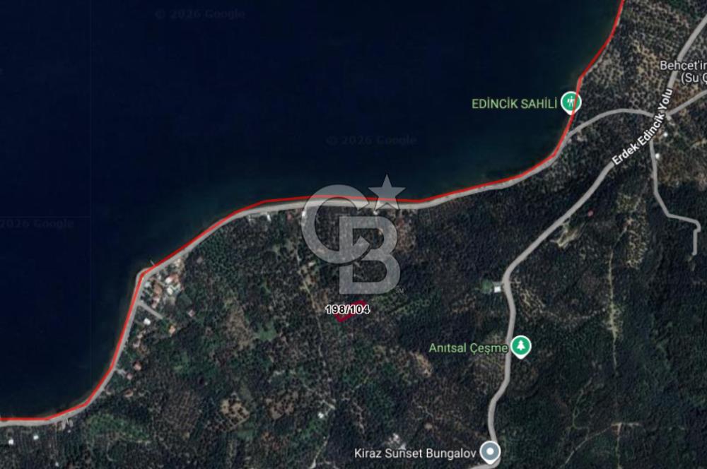 Cb Leader'dan Edincik'te Denize 200m Bakımlı Zeytinlik