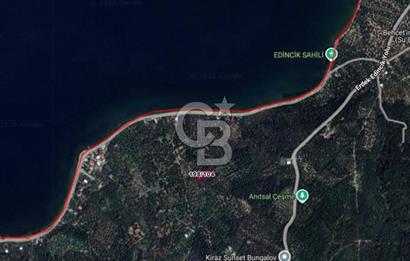 Cb Leader'dan Edincik'te Denize 200m Bakımlı Zeytinlik