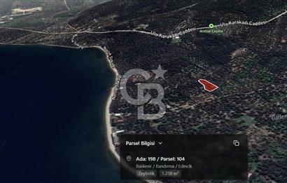 Cb Leader'dan Edincik'te Denize 200m Bakımlı Zeytinlik