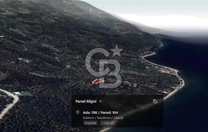 Cb Leader'dan Edincik'te Denize 200m Bakımlı Zeytinlik