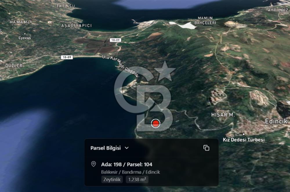 Cb Leader'dan Edincik'te Denize 200m Bakımlı Zeytinlik