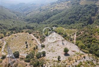 Kavacık Payamlı 3440 m² Yola Cephe Fırsat Bağ - 1 - 343925