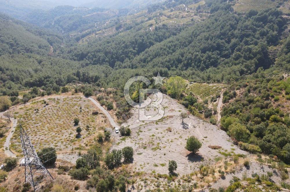 Kavacık Payamlı 3440 m² Yola Cephe Fırsat Bağ