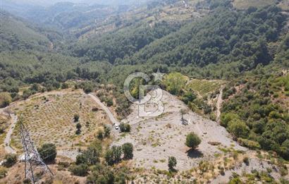 Kavacık Payamlı 3440 m² Yola Cephe Fırsat Bağ