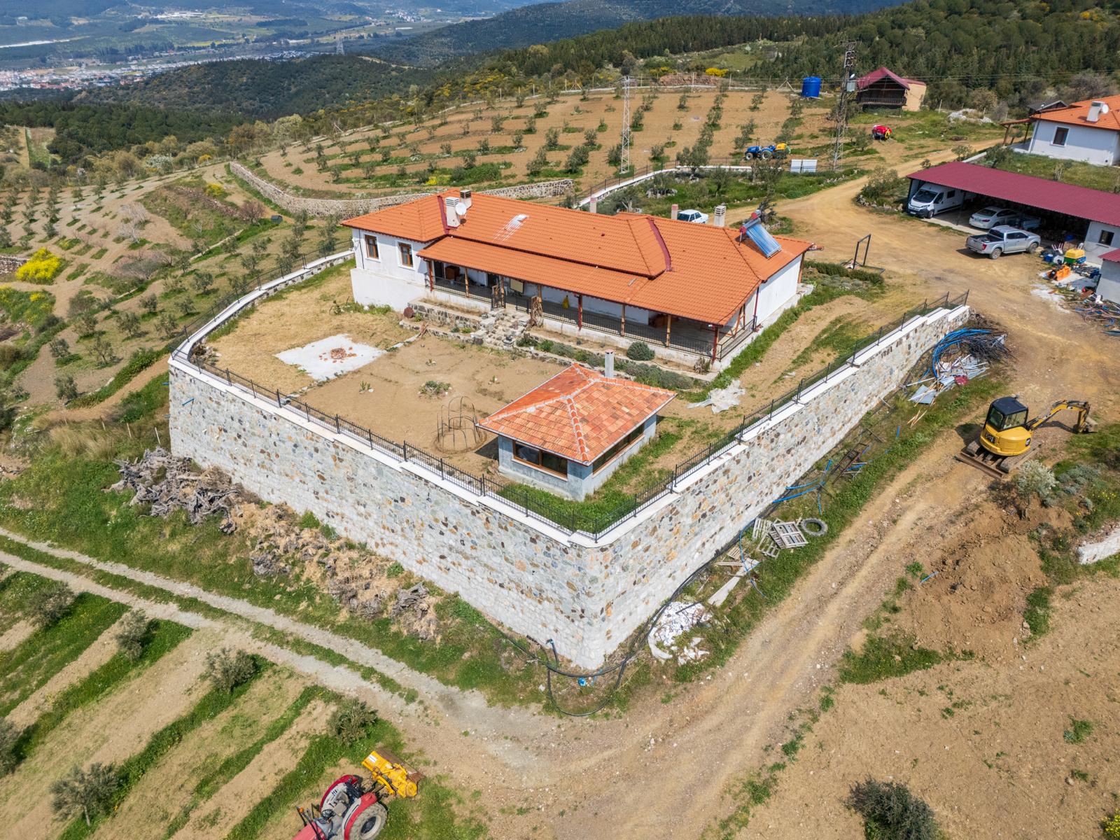 SEFERİHİSAR URLA BADEMLER SINIRINDA SATILIK ZEYTİNLİK