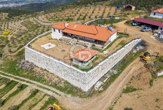 SEFERİHİSAR URLA BADEMLER SINIRINDA SATILIK ZEYTİNLİK - 8 - 343922