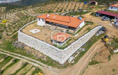 SEFERİHİSAR URLA BADEMLER SINIRINDA SATILIK ZEYTİNLİK