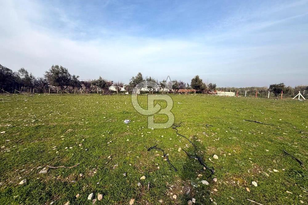 Turgutlu Albayrakta 4 Kat İmarlı Satılık Arsa 351 m² Yatırımlık