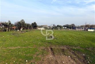 Turgutlu Albayrakta 4 Kat İmarlı Satılık Arsa 351 m² Yatırımlık - 1 - 344012