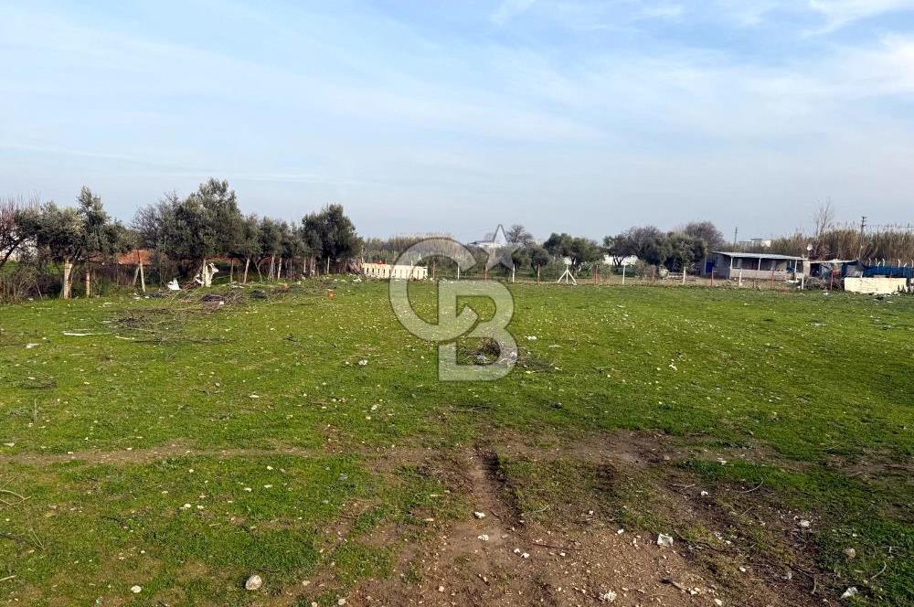 Turgutlu Albayrakta 4 Kat İmarlı Satılık Arsa 351 m² Yatırımlık