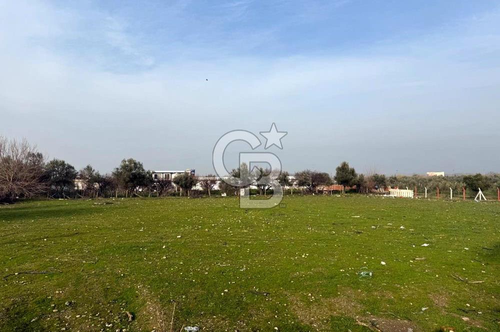 Turgutlu Albayrakta 4 Kat İmarlı Satılık Arsa 351 m² Yatırımlık