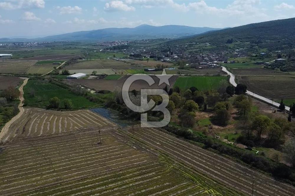 CB Leader'dan Manyas Kızıkta 3124 m² K. Tavukhane ve Tarla