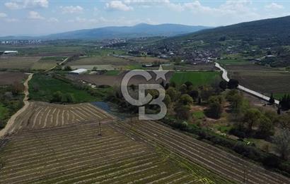 CB Leader'dan Manyas Kızıkta 3124 m² K. Tavukhane ve Tarla