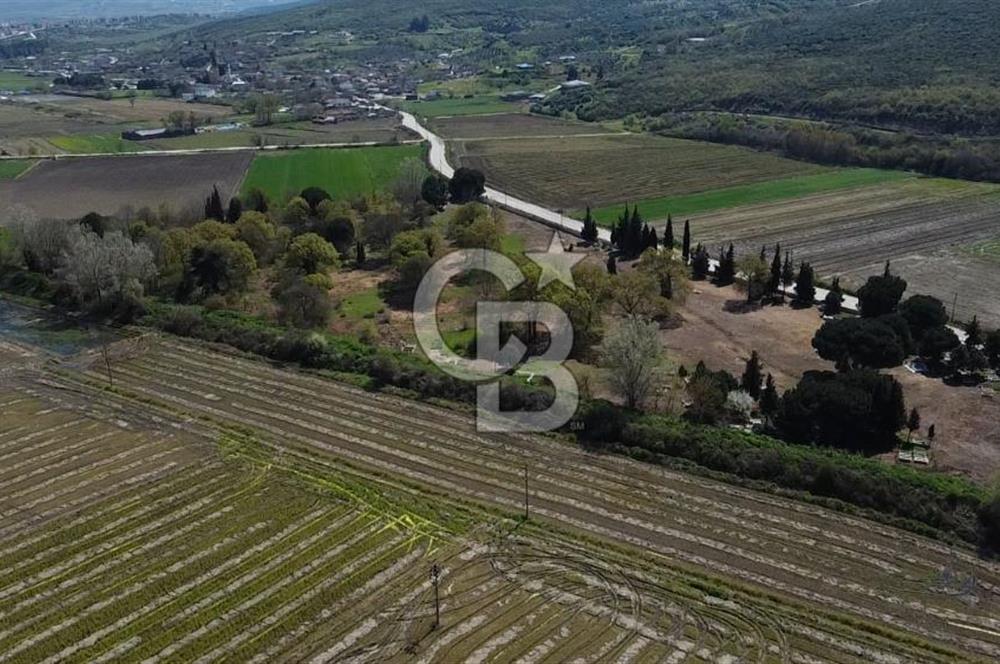 Manyas Çayına Komşu Ulaşımı Kolay Sulak Tarla