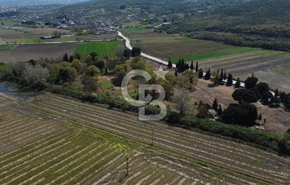 Manyas Çayına Komşu Ulaşımı Kolay Sulak Tarla
