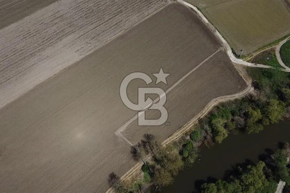 Manyas Çayına Komşu Ulaşımı Kolay Sulak Tarla