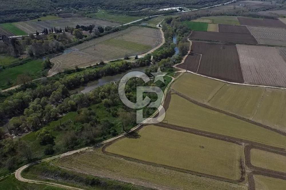 Manyas Çayına Komşu Ulaşımı Kolay Sulak Tarla