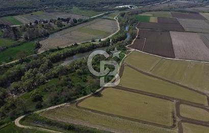 Manyas Çayına Komşu Ulaşımı Kolay Sulak Tarla