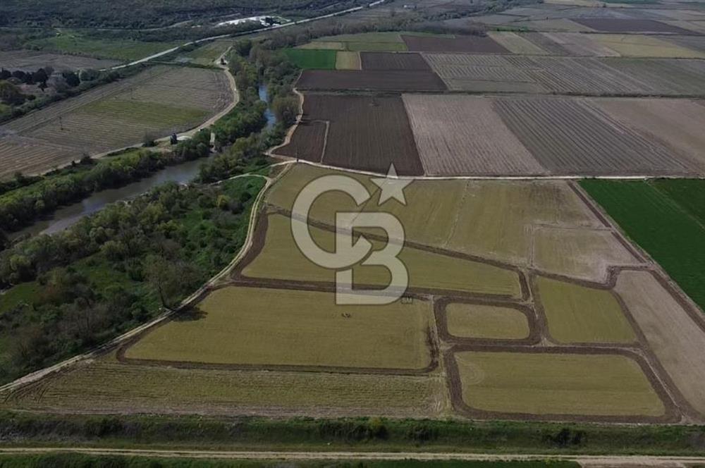 Manyas Çayına Komşu Ulaşımı Kolay Sulak Tarla