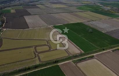 Manyas Çayına Komşu Ulaşımı Kolay Sulak Tarla