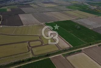 Manyas Çayına Komşu Ulaşımı Kolay Sulak Tarla - 10 - 343032