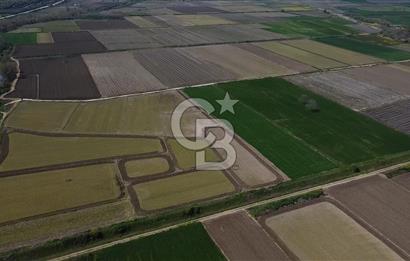 Manyas Çayına Komşu Ulaşımı Kolay Sulak Tarla