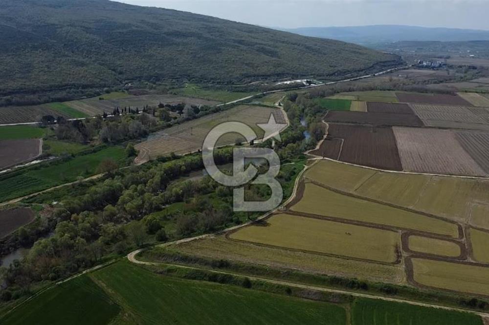 Manyas Çayına Komşu Ulaşımı Kolay Sulak Tarla