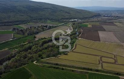 Manyas Çayına Komşu Ulaşımı Kolay Sulak Tarla