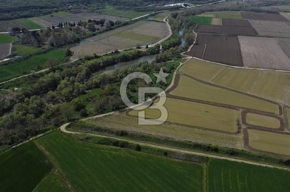 Manyas Çayına Komşu Ulaşımı Kolay Sulak Tarla