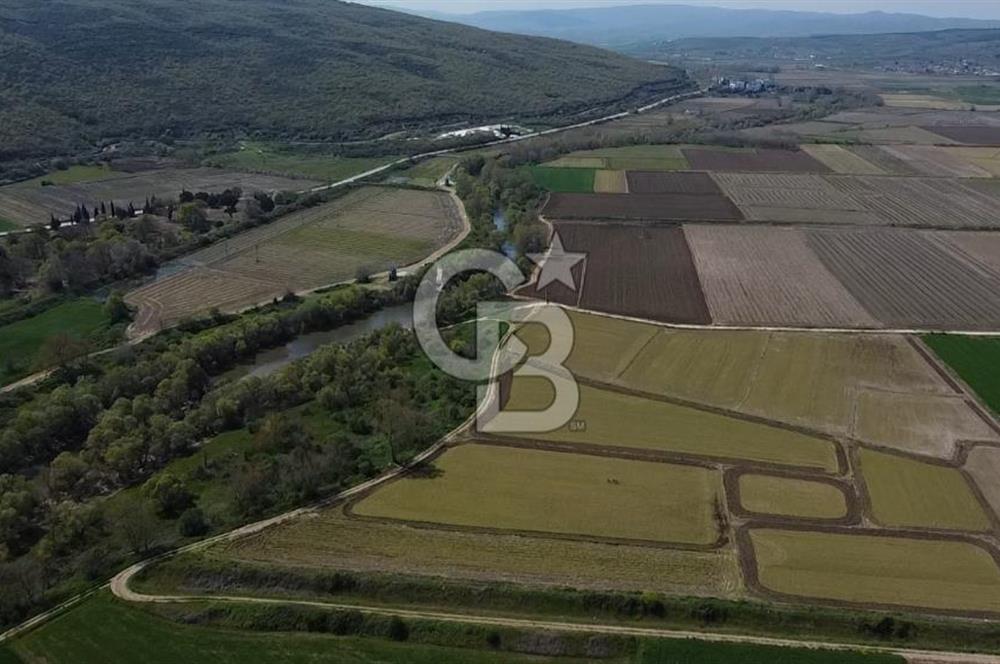 Manyas Çayına Komşu Ulaşımı Kolay Sulak Tarla