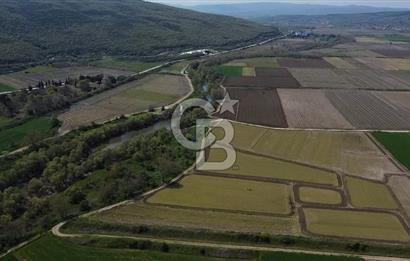 Manyas Çayına Komşu Ulaşımı Kolay Sulak Tarla
