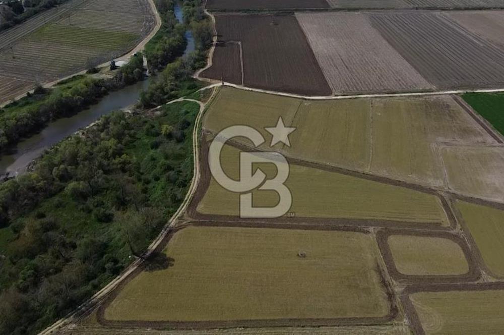 Manyas Çayına Komşu Ulaşımı Kolay Sulak Tarla