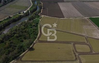 Manyas Çayına Komşu Ulaşımı Kolay Sulak Tarla