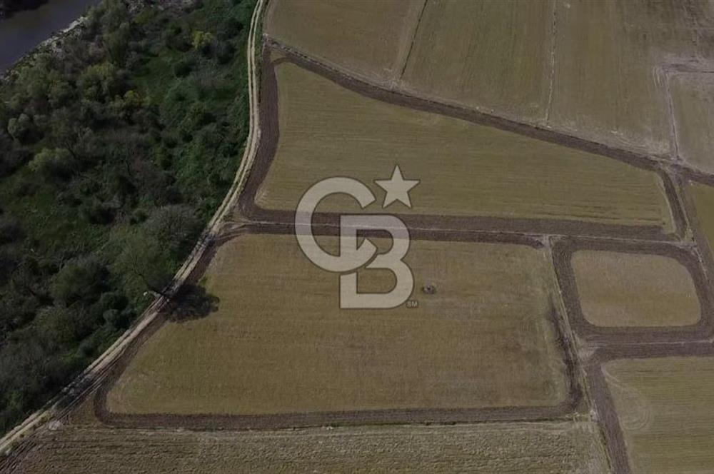 Manyas Çayına Komşu Ulaşımı Kolay Sulak Tarla