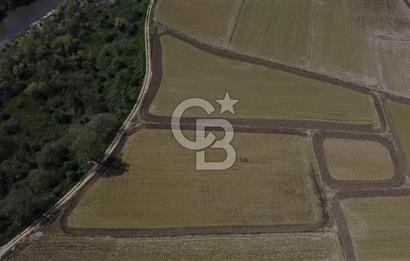 Manyas Çayına Komşu Ulaşımı Kolay Sulak Tarla