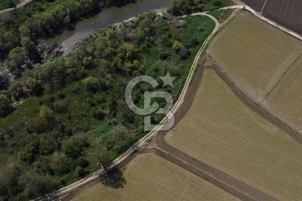 Manyas Çayına Komşu Ulaşımı Kolay Sulak Tarla