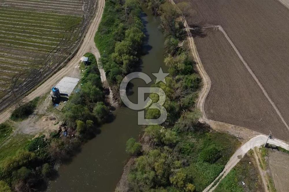 Manyas Çayına Komşu Ulaşımı Kolay Sulak Tarla
