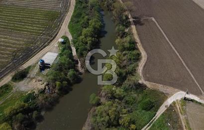 Manyas Çayına Komşu Ulaşımı Kolay Sulak Tarla