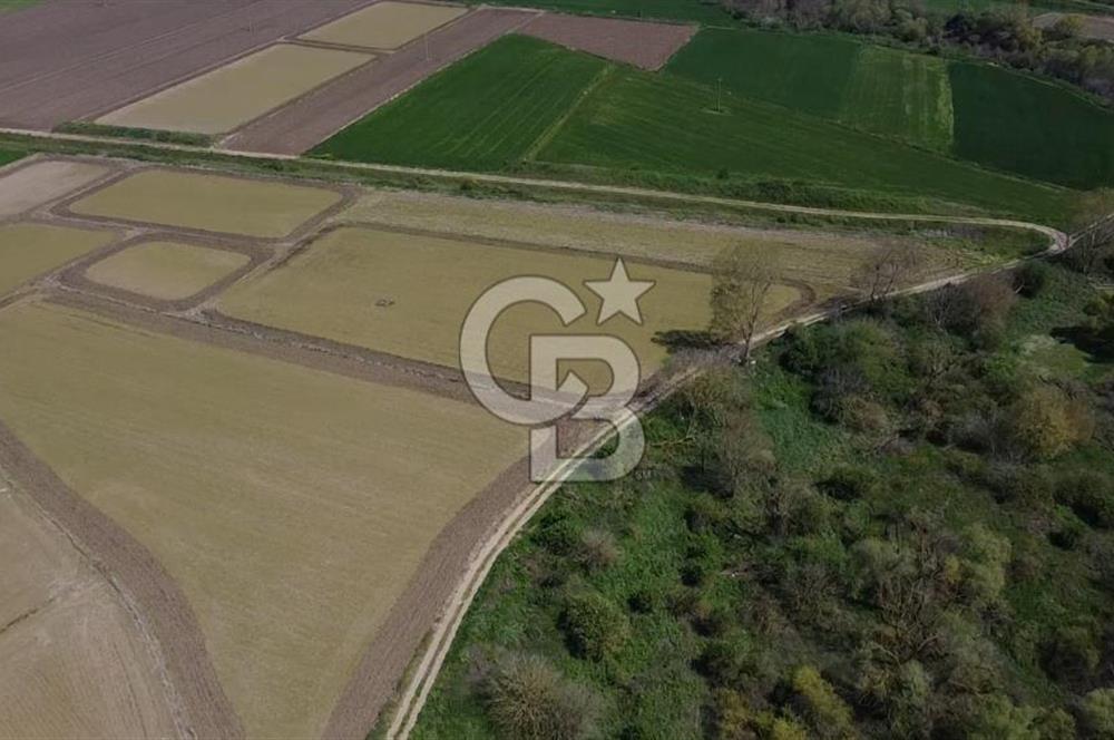 Manyas Çayına Komşu Ulaşımı Kolay Sulak Tarla