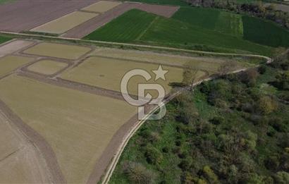 Manyas Çayına Komşu Ulaşımı Kolay Sulak Tarla