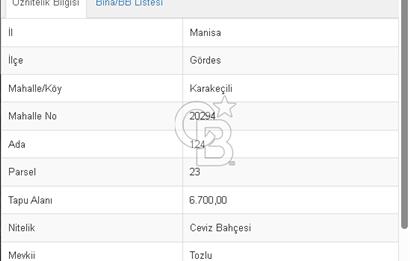 Manisa Gördes te Satılık 6700m² Ceviz Bahçesi